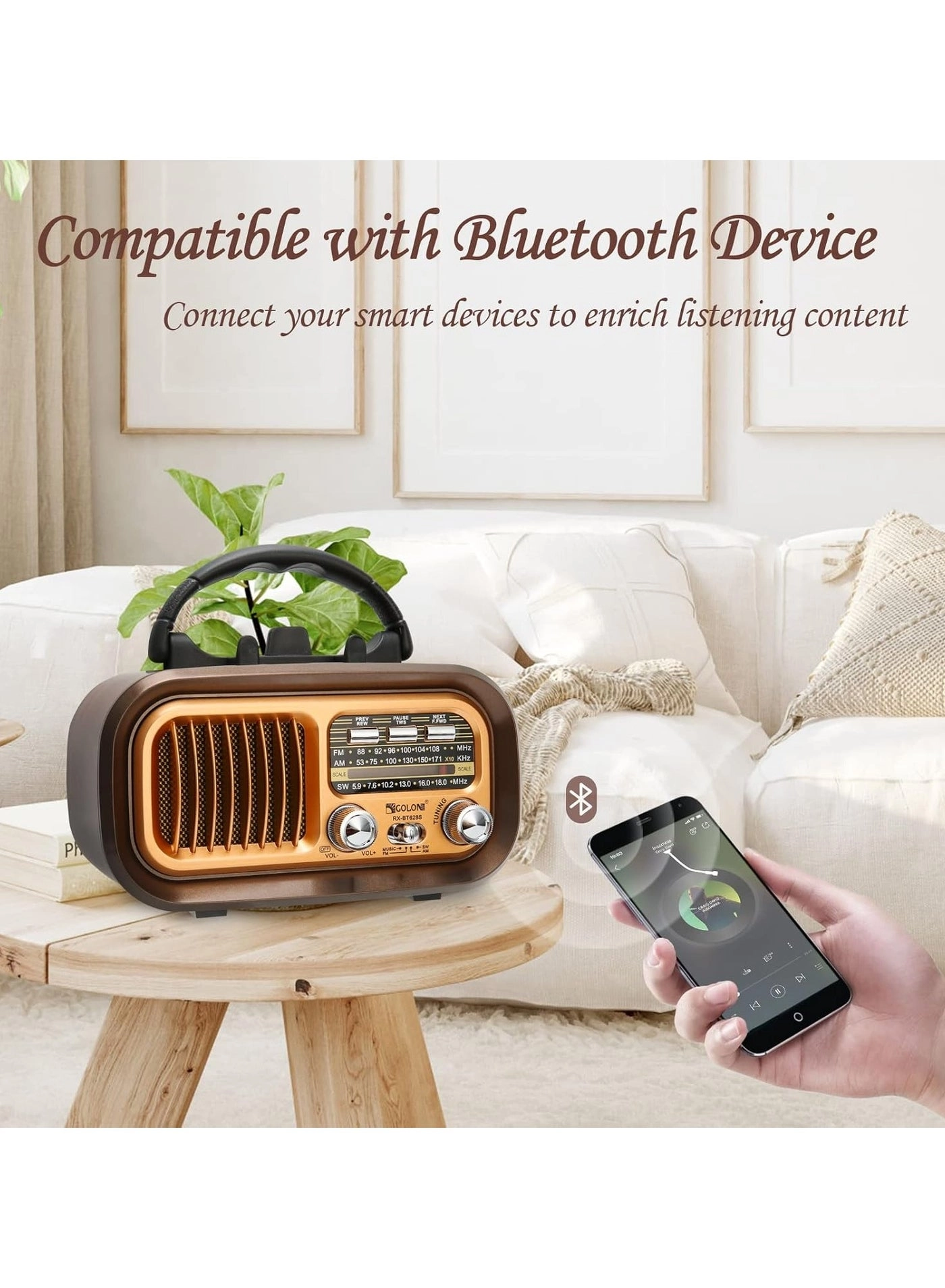 Bluetooth Radio Speaker - FM