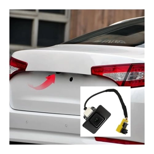 Rear View Reverse Camera - Night Vision