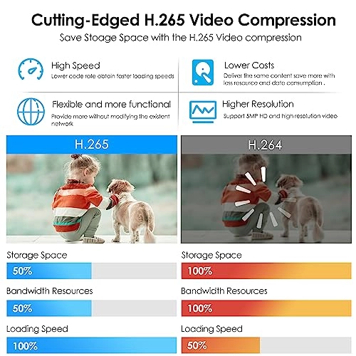 Surveillance Camera 2K