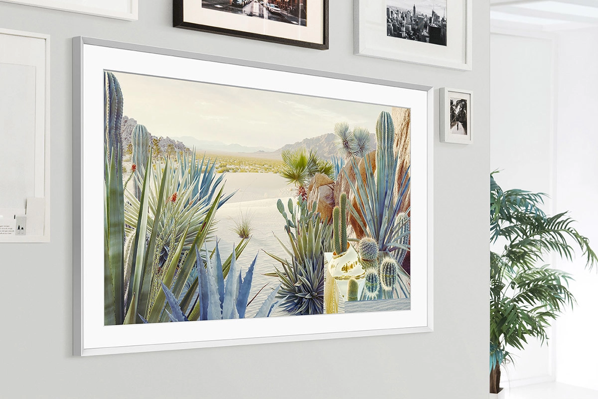 The Frame - 50 Inches