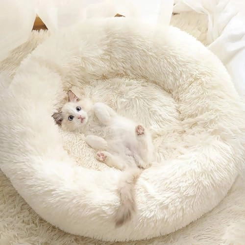 Cat Beds for Indoor Cats Dimension2D[width=200.0, height=200.0]mm Polyester fiber