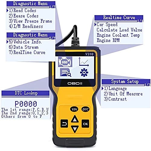 V310