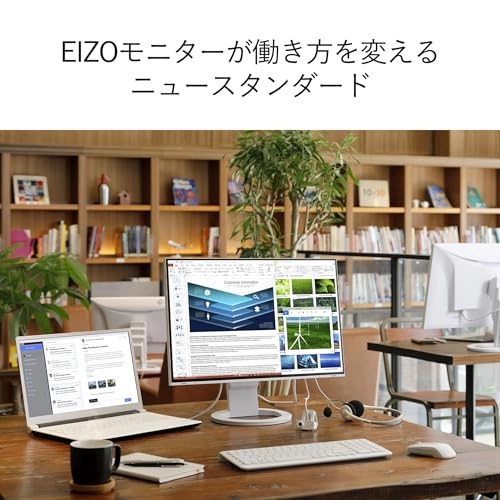 EV2485-WT - 24.1 Inches 1920 x 1200