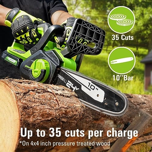 Chainsaw - 24V 10" 2.0Ah
