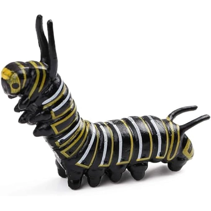 Butterfly Life Cycle Biology - 18 months - 3 years