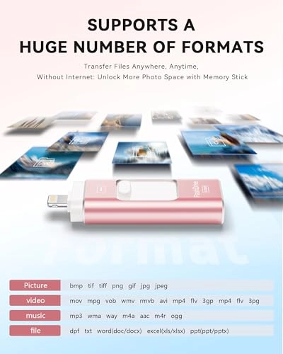 USB Stick - USB 3.0 Lightning Type-C for iPhone 512GB
