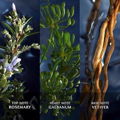 Cool Water Reborn Eau de Toilette 125 ml