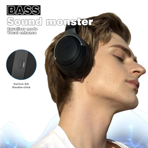 LC30Pro Wireless Headphone