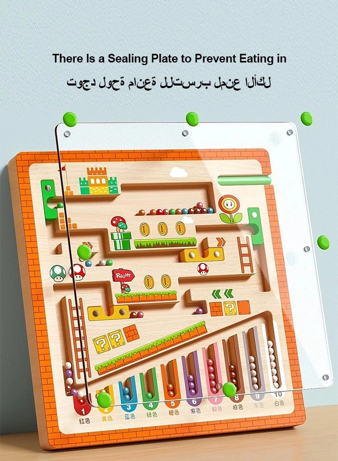 Magnetic Game Labyrinth - 2-4 Years