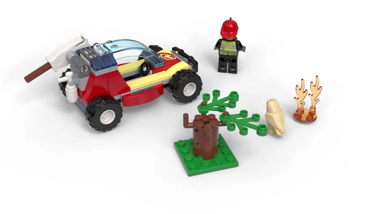 City Forest Fire (60247)