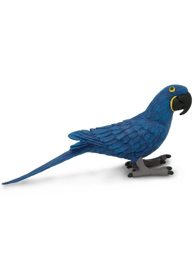 Safari Ltd Bird - Hyacinth Macaw