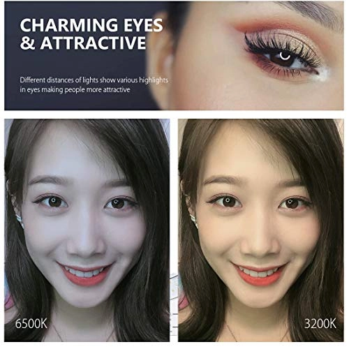 LED Ring Light - 6.2 inch