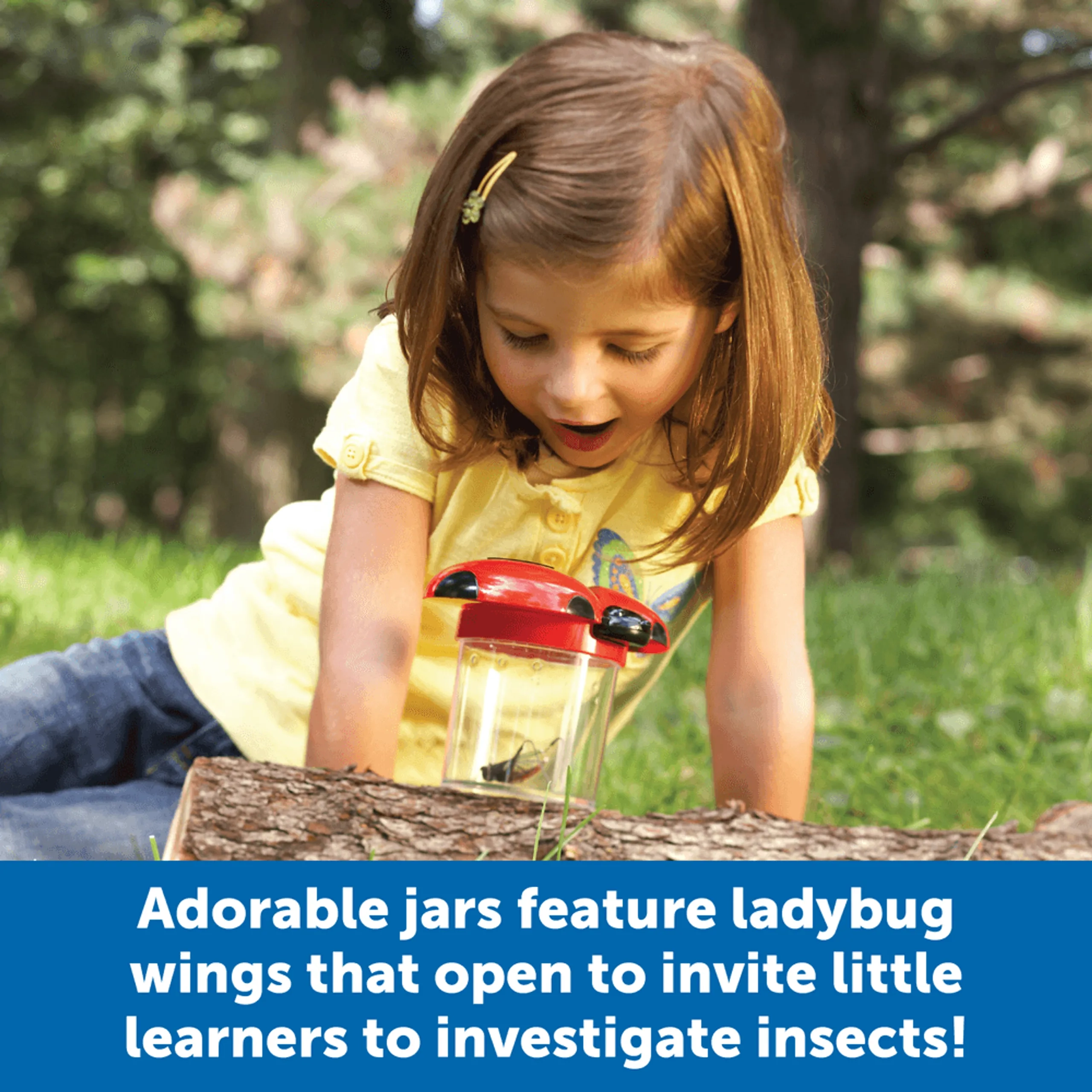 Jumbo Bug Jars - 3+ 6 pieces