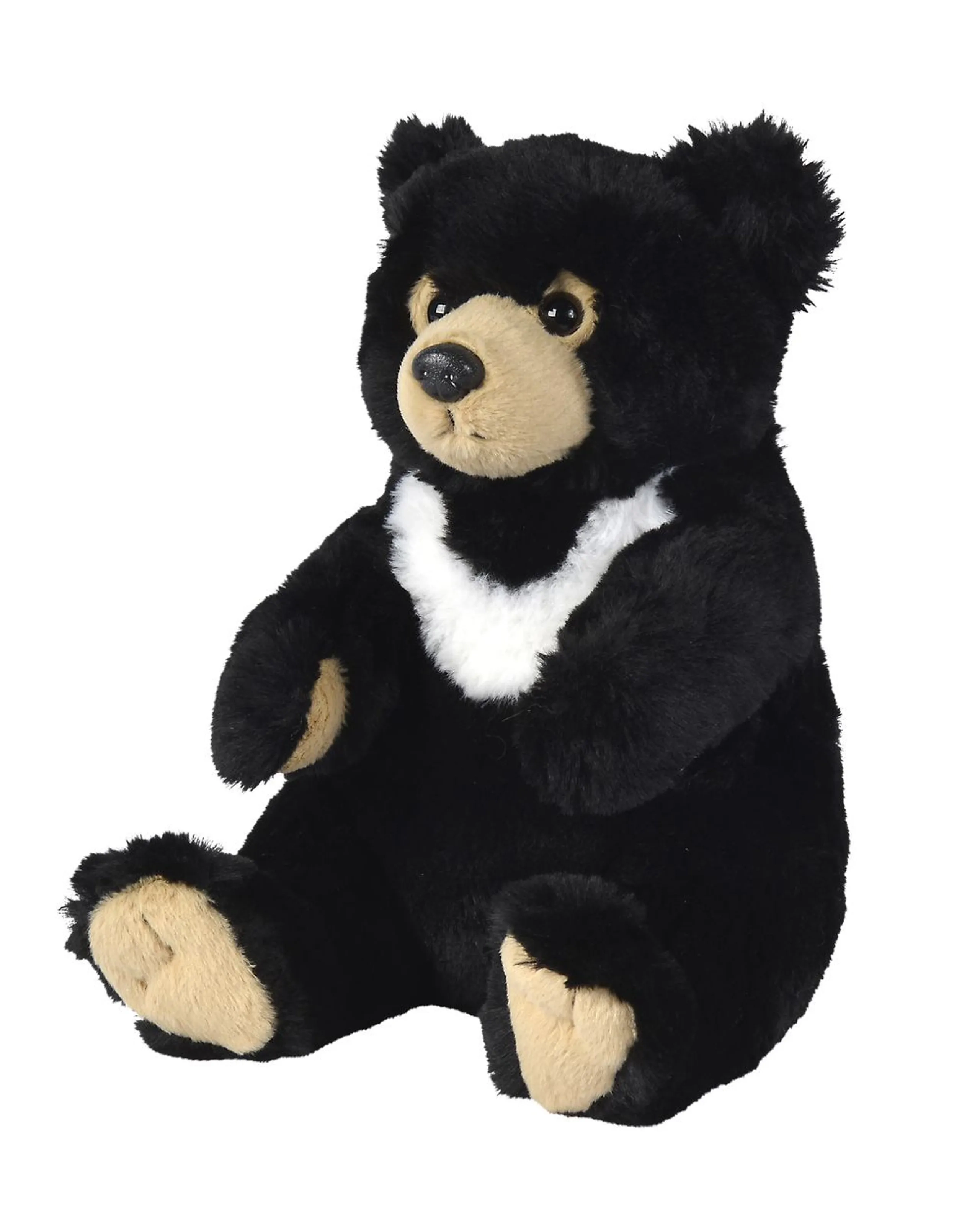 Teddy Bear - 25 cm Plush Black