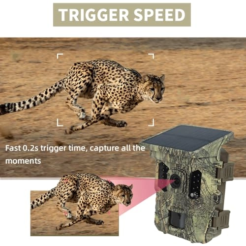 Trail Cam - 16 megapixel