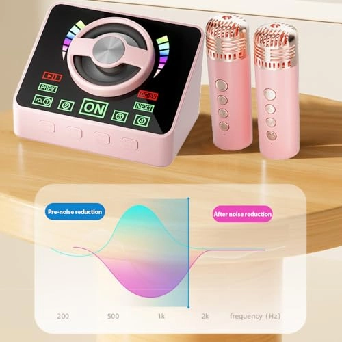 Karaoke Machine - 2 15W