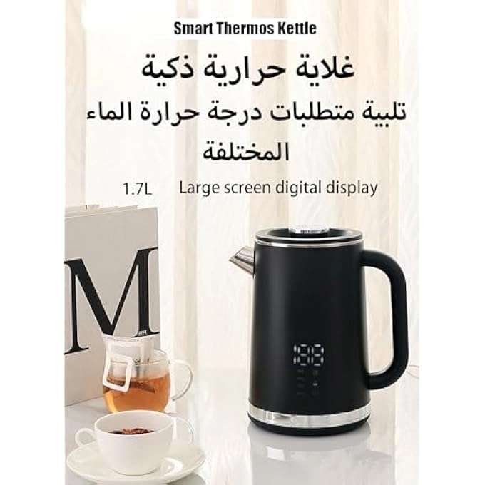 Electric Kettle