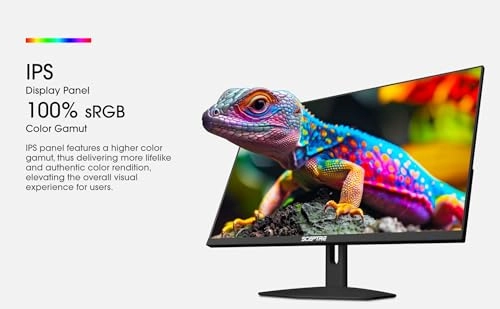 E275W-FP100T - 1920x1080 27 Inches