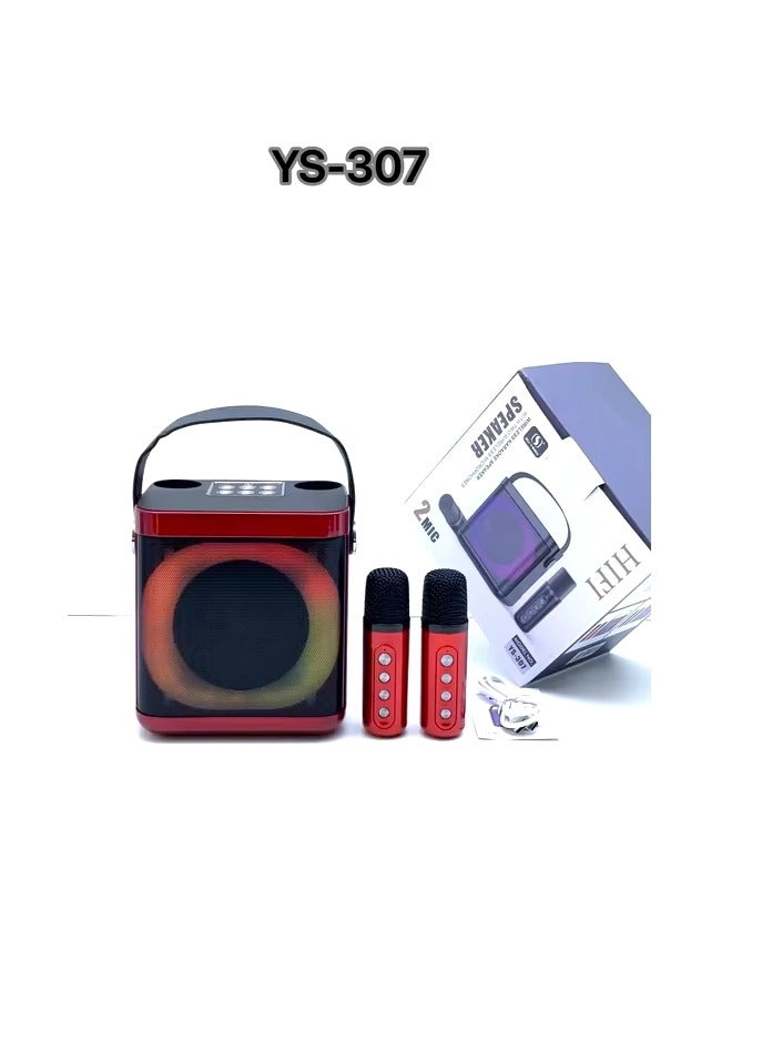 YS307 - 2 Microphones