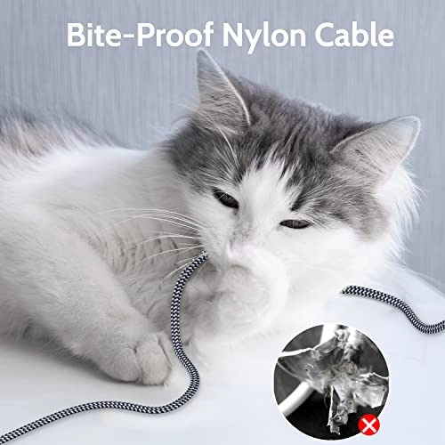 Cat 7 Ethernet Cable - 6.6FT