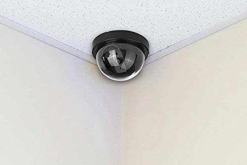Fake Dome Camera - Outdoor