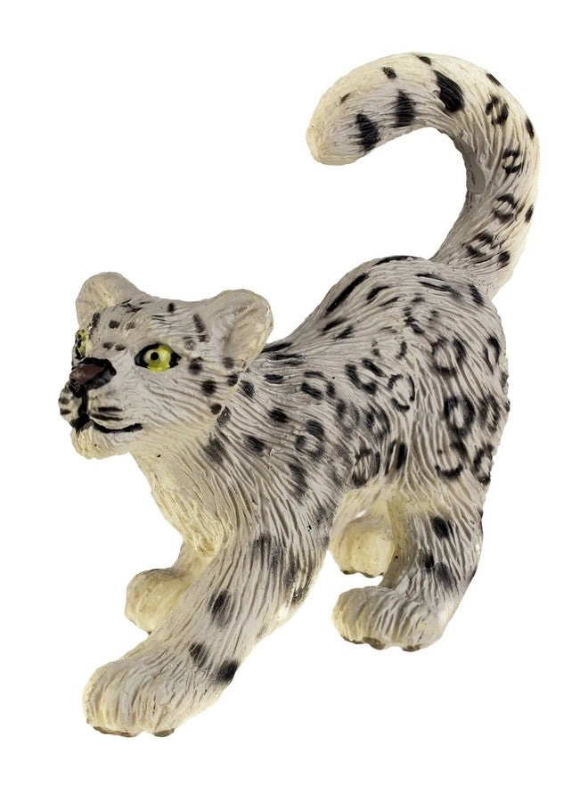 Snow Leopard Cub