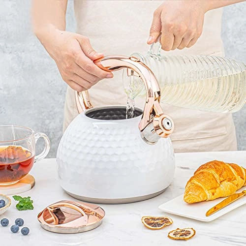 Whistling Kettle - 2.8L