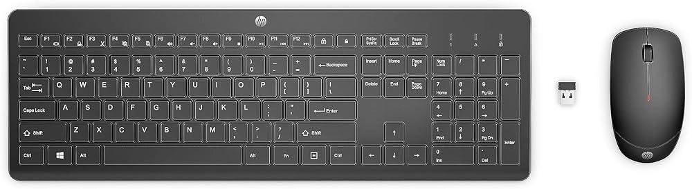 230 - AR/EN Wireless