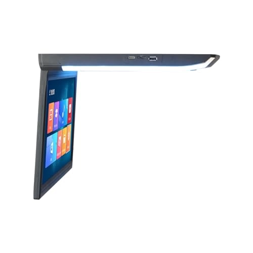 Car ceiling display - 11.6-inch