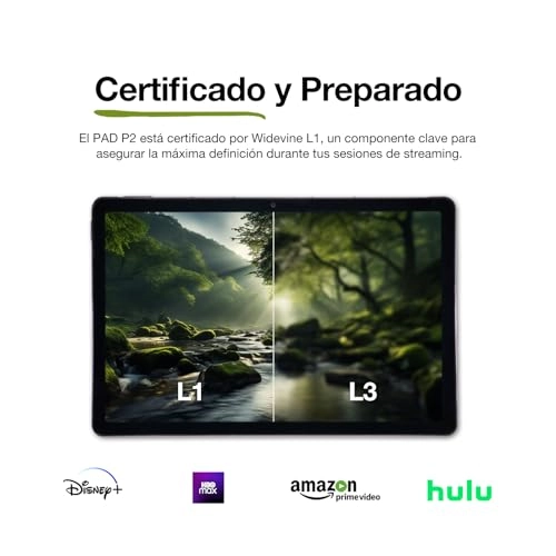 P2 Active - 16GB 11"