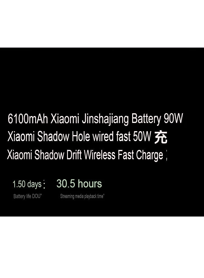 15 Pro - 16GB 1000GB