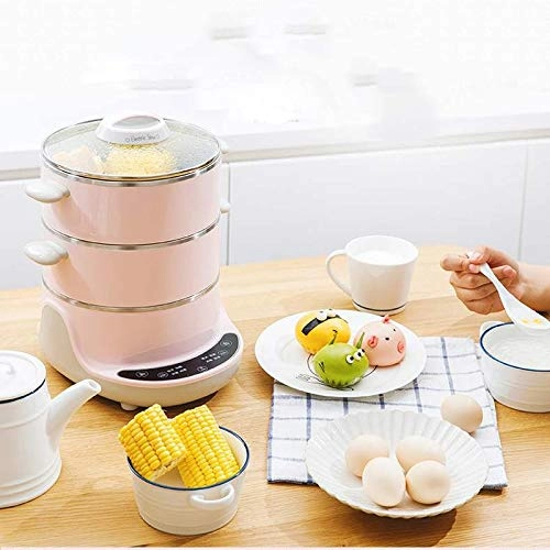 Electric Steamer - 4L 600W 304 Stainless Steel