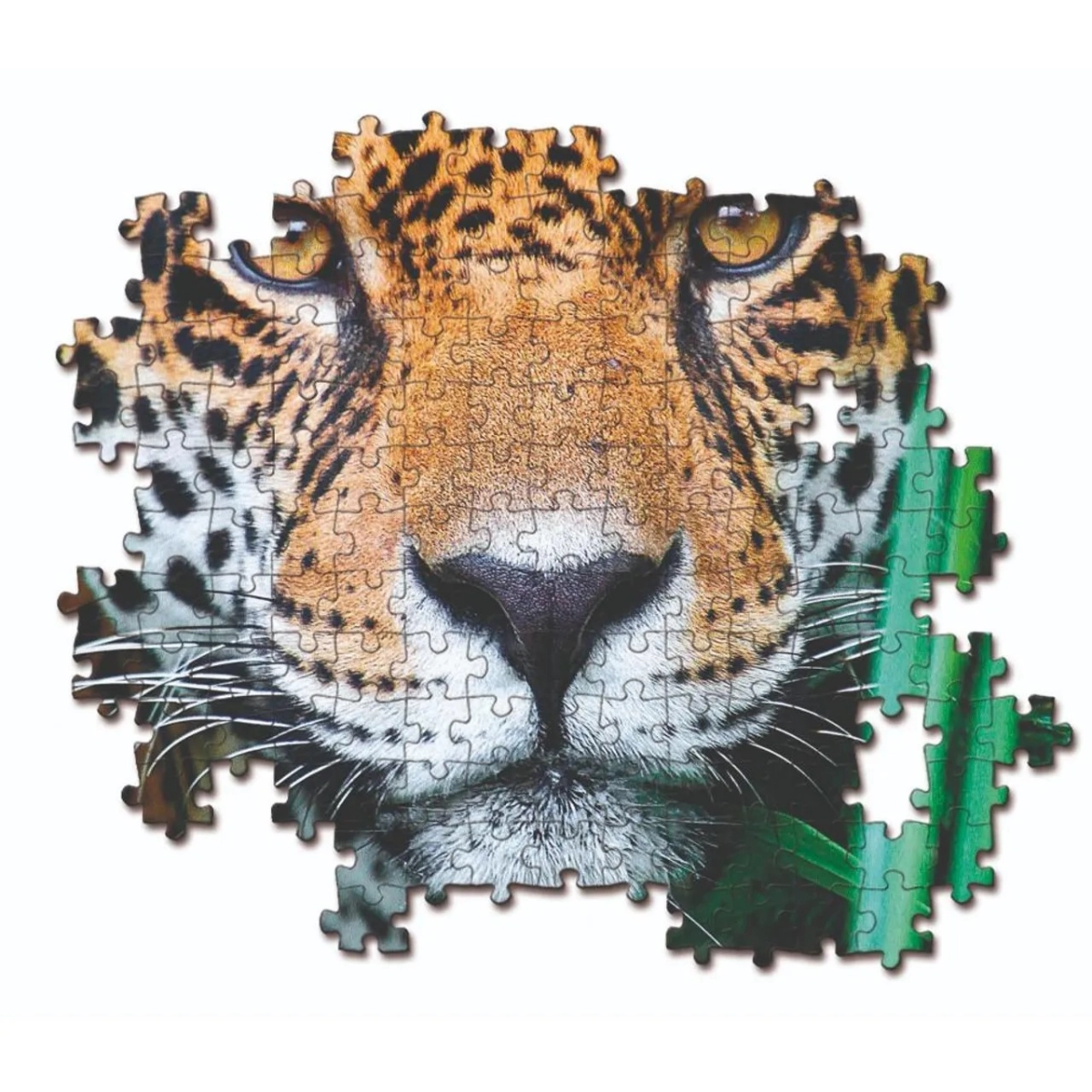 Jaguar In The Jungle Puzzle (ALGT-35127) - 500 pcs
