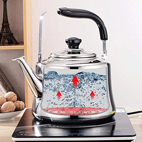 Stovetop Induction Whistling Kettle - 5L