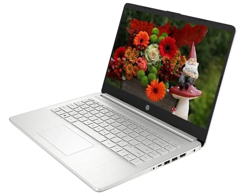 14-dq0052dx - 14'' Celeron N4120 16GB DDR4 128GB SSD