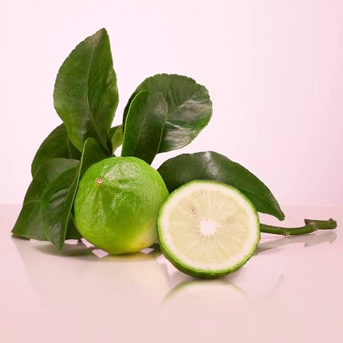 Today Tomorrow Always Wonder Eau de Parfum 50ml