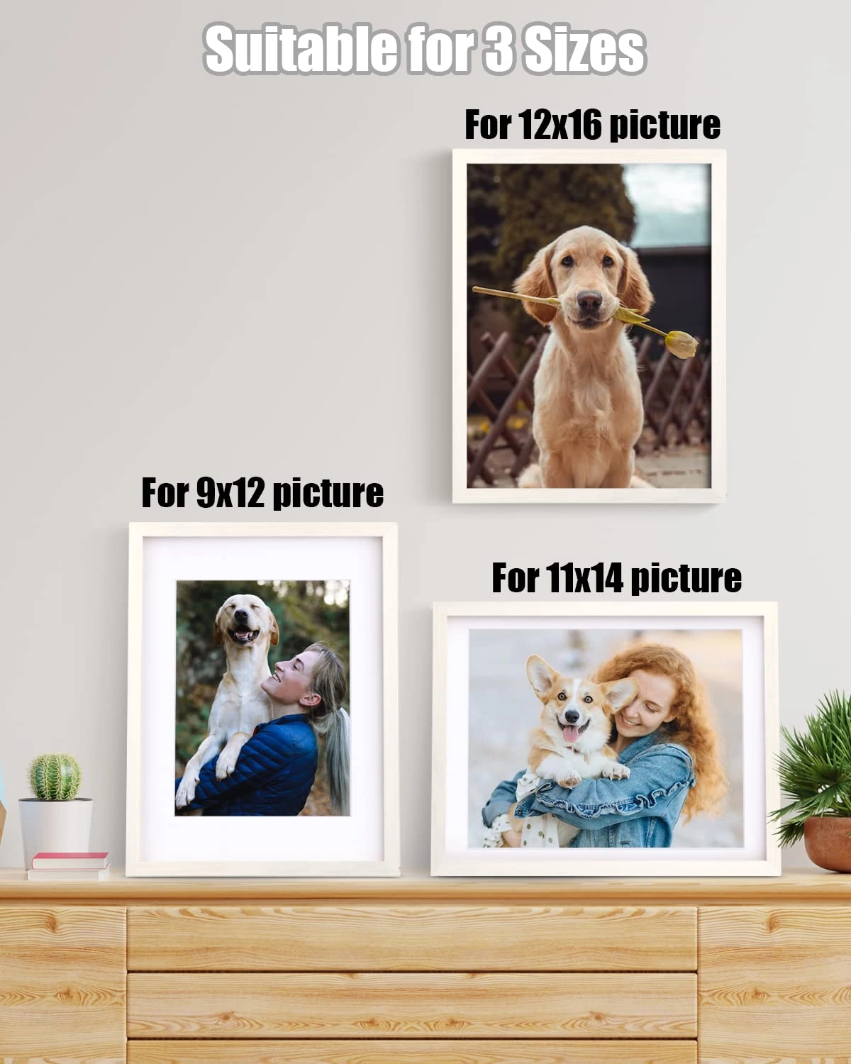 picture frames - 12x16