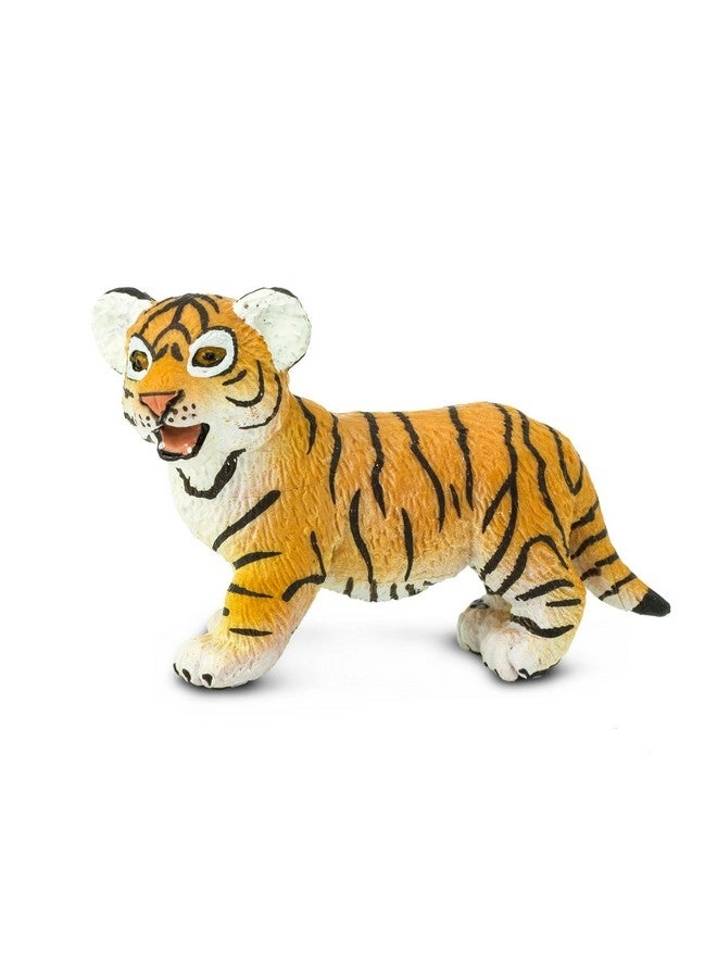 Wildlife - Bengal Tiger Cub