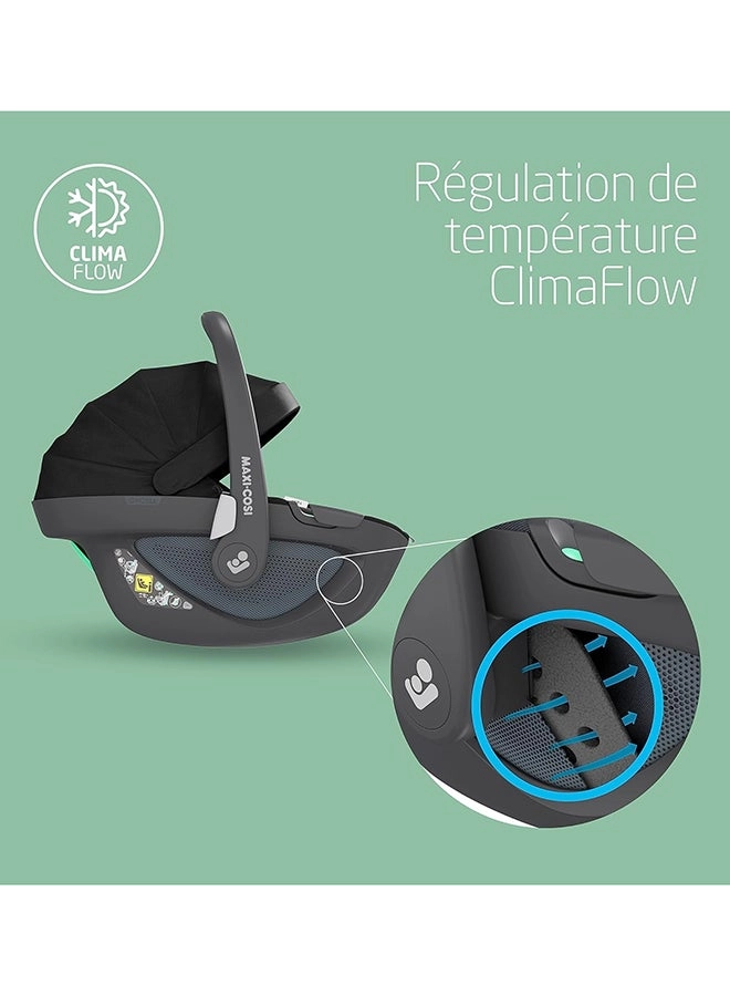 Pebble 360 - Group 0+ Seat Belt