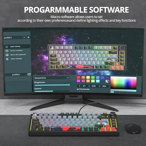 75% TKL Wired Mechanical Keyboard - Wired/Wireless