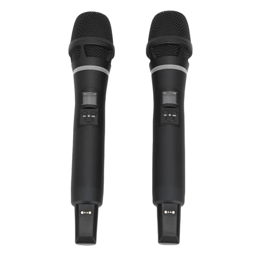 Dual Wireless Microphone