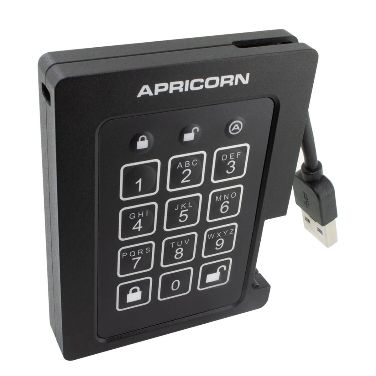 Aegis Padlock - 4 TB