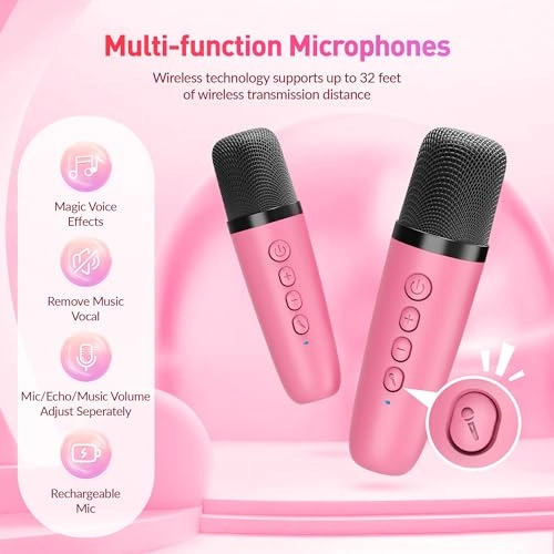 K29-L - 2 Wireless Microphones