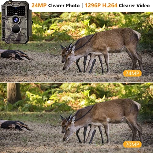 Trail Camera - 24 megapixel