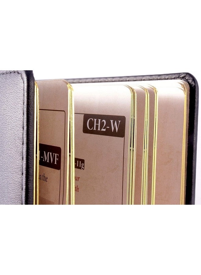 Ultimate Werewolf Legacy