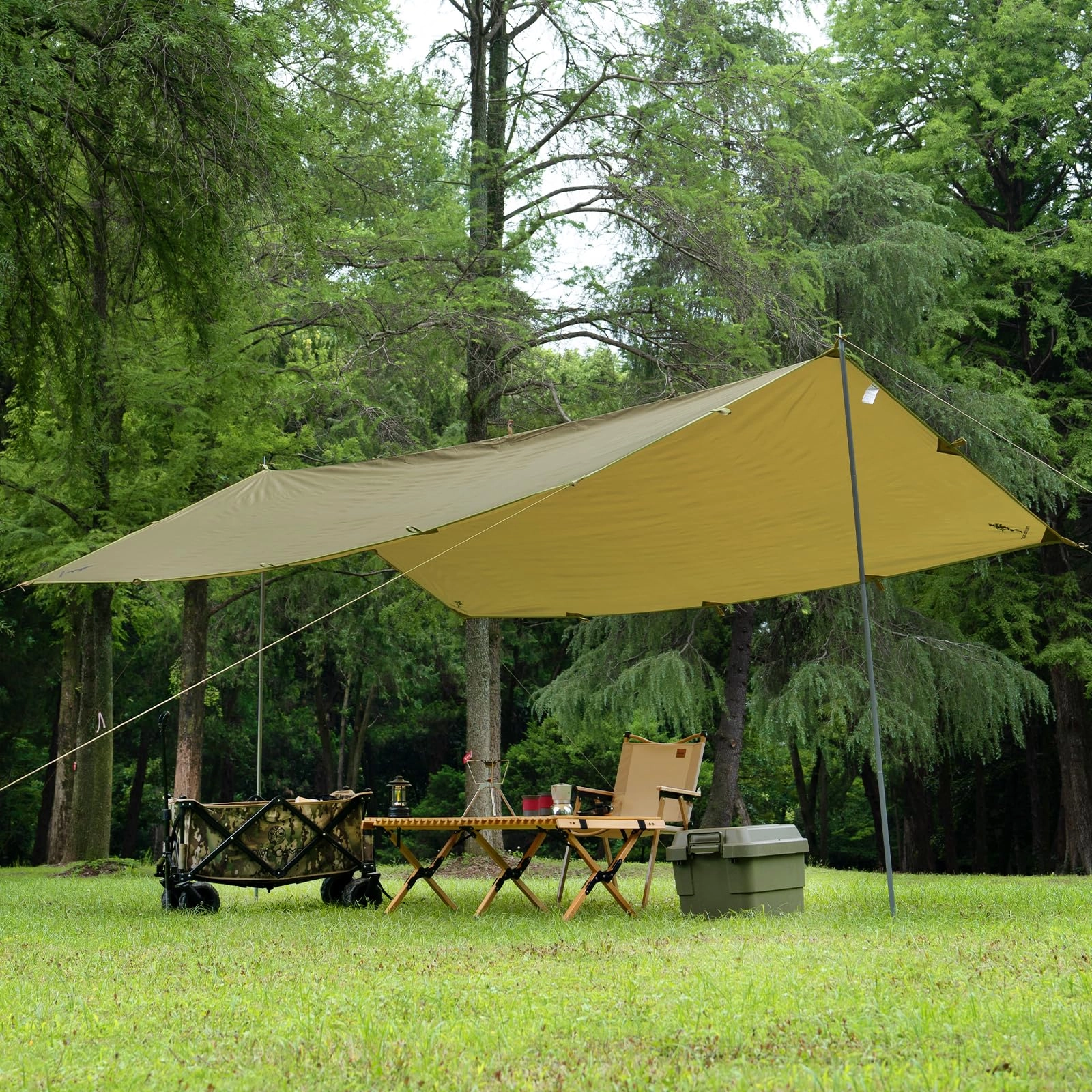 Camping Tarp