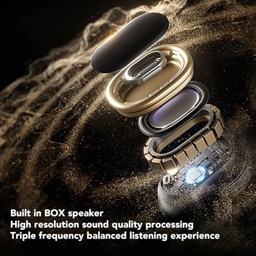 AI Translation Glasses - BT5.3 Polarized