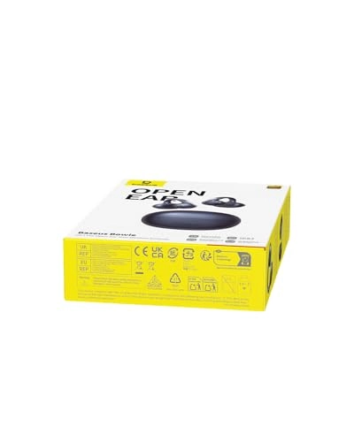 Bowie MC1 OL Wireless Earbud