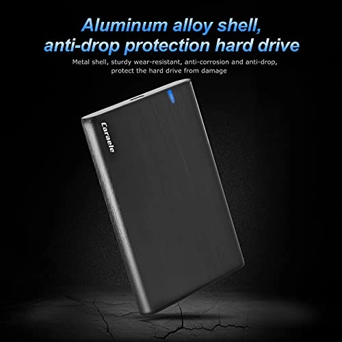 Portable - 5400 RPM 500GB 2.5-inch HDD