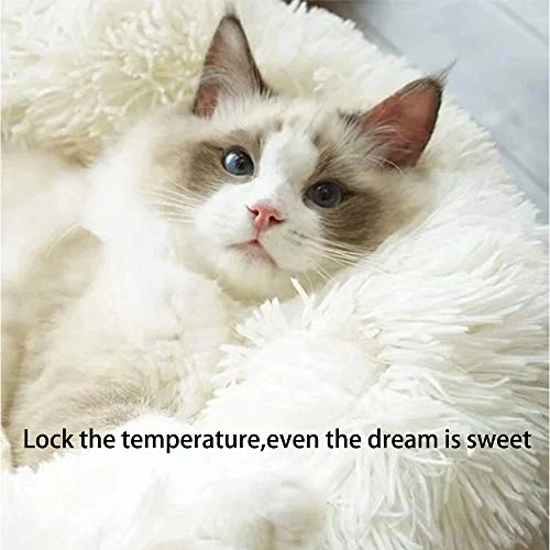 Cat Beds for Indoor Cats Dimension2D[width=200.0, height=200.0]mm Polyester fiber